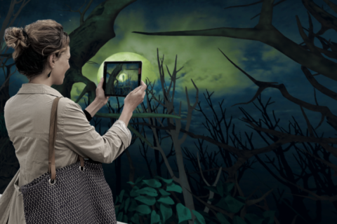 Image Not Found On Media Library